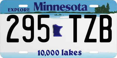 MN license plate 295TZB