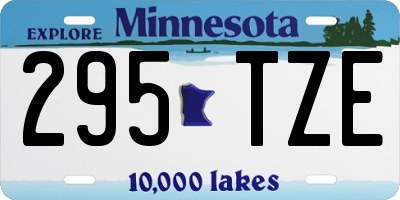 MN license plate 295TZE
