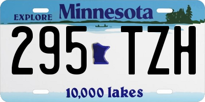 MN license plate 295TZH
