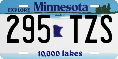 MN license plate 295TZS