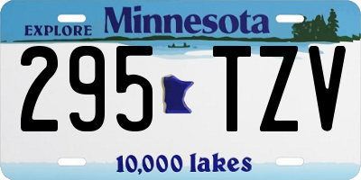 MN license plate 295TZV