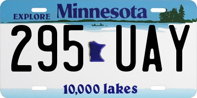MN license plate 295UAY