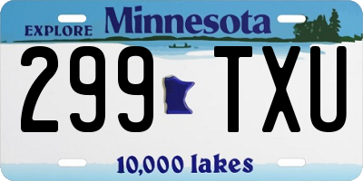 MN license plate 299TXU