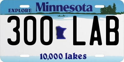 MN license plate 300LAB