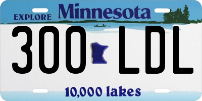 MN license plate 300LDL