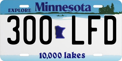 MN license plate 300LFD