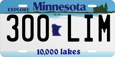 MN license plate 300LIM
