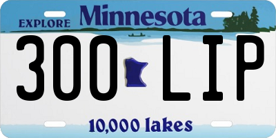MN license plate 300LIP