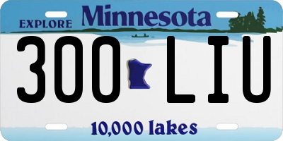 MN license plate 300LIU