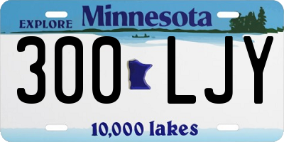 MN license plate 300LJY