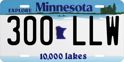 MN license plate 300LLW