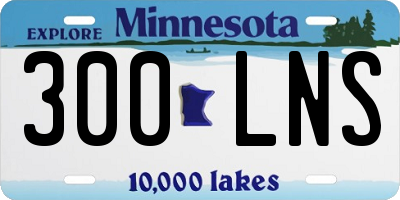 MN license plate 300LNS