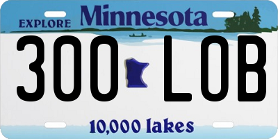 MN license plate 300LOB