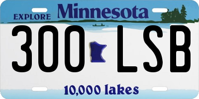 MN license plate 300LSB