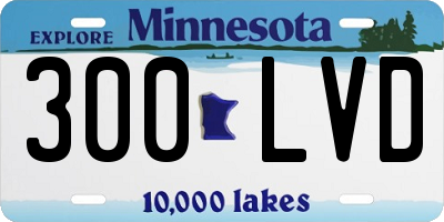 MN license plate 300LVD
