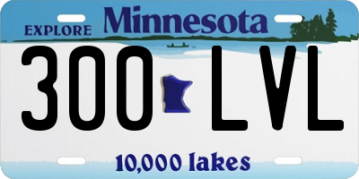 MN license plate 300LVL