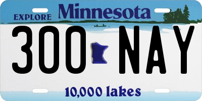 MN license plate 300NAY