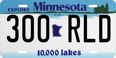 MN license plate 300RLD