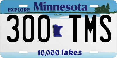 MN license plate 300TMS