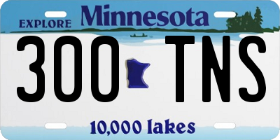 MN license plate 300TNS