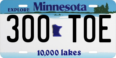 MN license plate 300TOE