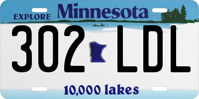 MN license plate 302LDL