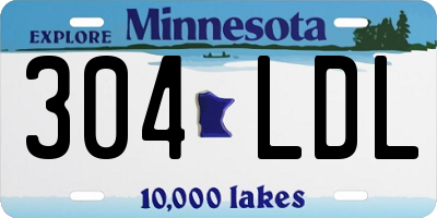 MN license plate 304LDL