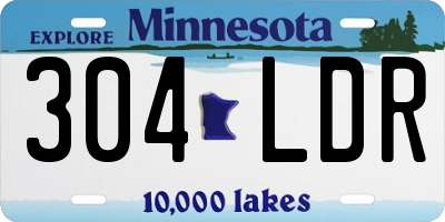 MN license plate 304LDR