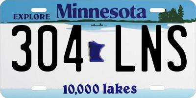 MN license plate 304LNS