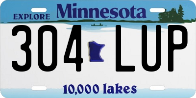 MN license plate 304LUP