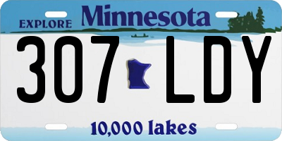 MN license plate 307LDY