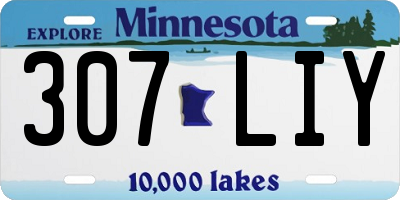 MN license plate 307LIY