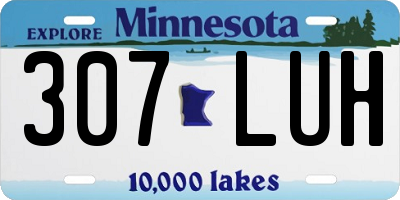 MN license plate 307LUH