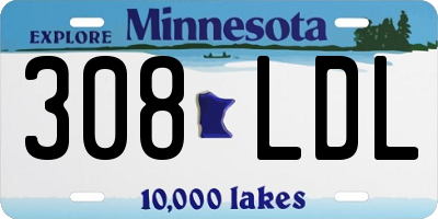 MN license plate 308LDL