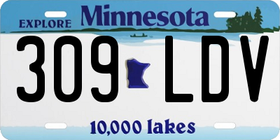 MN license plate 309LDV