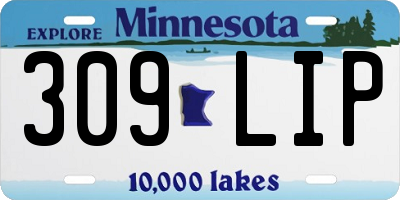 MN license plate 309LIP