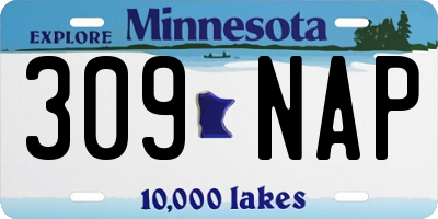 MN license plate 309NAP
