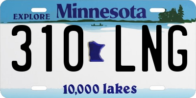 MN license plate 310LNG