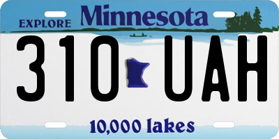 MN license plate 310UAH