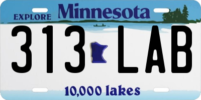 MN license plate 313LAB