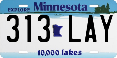 MN license plate 313LAY