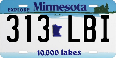 MN license plate 313LBI