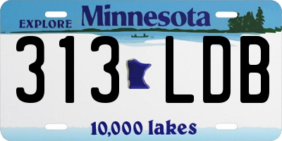 MN license plate 313LDB