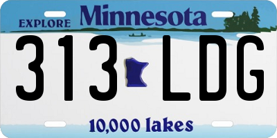 MN license plate 313LDG