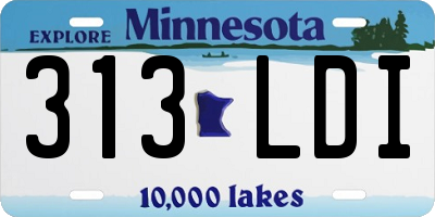MN license plate 313LDI