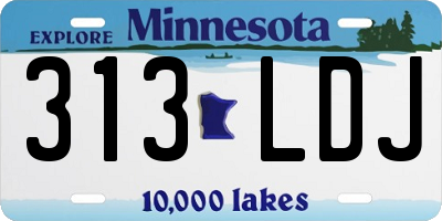 MN license plate 313LDJ