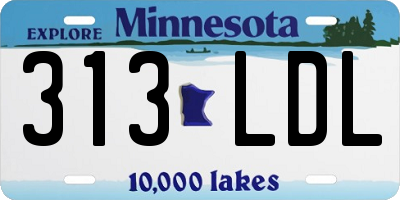 MN license plate 313LDL