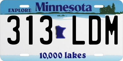MN license plate 313LDM