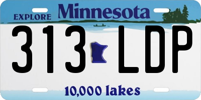 MN license plate 313LDP