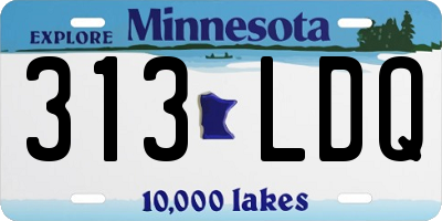 MN license plate 313LDQ